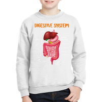 Funny Digestive System Anatomy Anatomical Biology Teacher T Shirt Youth Sweatshirt | Artistshot