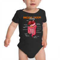 Funny Digestive System Anatomy Anatomical Biology Teacher T Shirt Baby Bodysuit | Artistshot