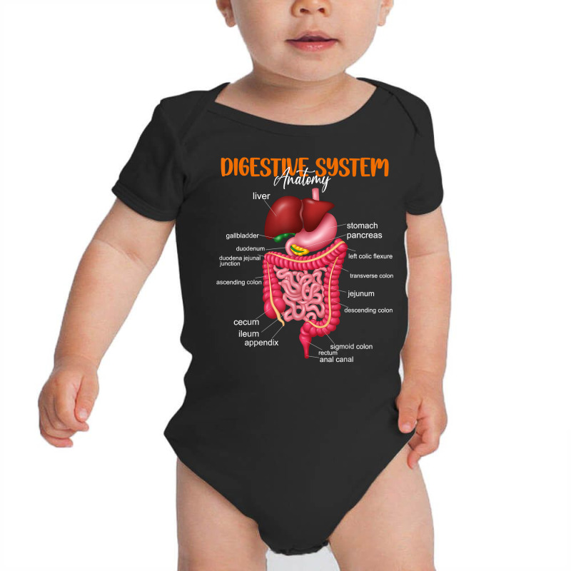 Funny Digestive System Anatomy Anatomical Biology Teacher T Shirt Baby Bodysuit by gyzhahykaete | Artistshot