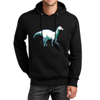 Oriented Aroace Pride Dinosaur Unisex Hoodie | Artistshot