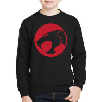 Thundercats Youth Sweatshirt | Artistshot