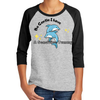 Be Gentle I Have A Sensitive Tummy   Funny Dolphins Youth 3/4 Sleeve | Artistshot