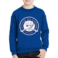 Seal Of Southern New Hampshire Youth Sweatshirt | Artistshot