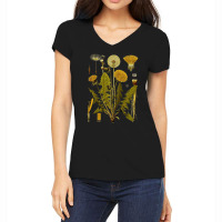 Dandelion Botanical Art, Dandelion Botanical Vintage, Dandelion Botani Women's V-neck T-shirt | Artistshot