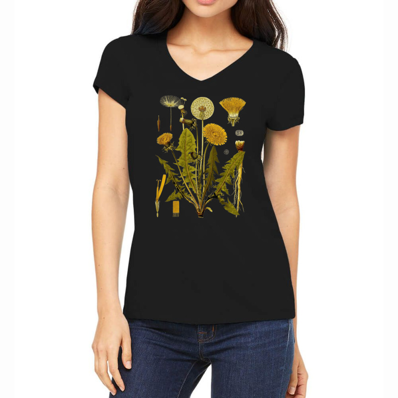 Dandelion Botanical Art, Dandelion Botanical Vintage, Dandelion Botani Women's V-Neck T-Shirt by SHOPUYTY | Artistshot