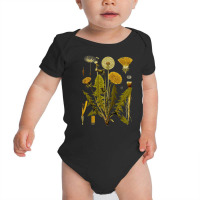 Dandelion Botanical Art, Dandelion Botanical Vintage, Dandelion Botani Baby Bodysuit | Artistshot