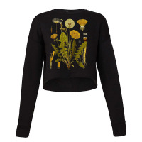 Dandelion Botanical Art, Dandelion Botanical Vintage, Dandelion Botani Cropped Sweater | Artistshot