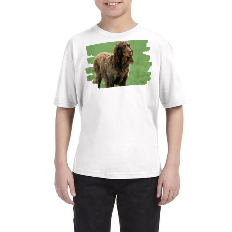 Picardy Spaniel Dog Lover T Shirt Youth Tee by hankeajrippleex5 | Artistshot