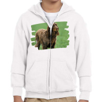 Picardy Spaniel Dog Lover T Shirt Youth Zipper Hoodie | Artistshot