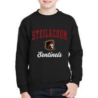 Steilacoom High School Sentinels Premium T Shirt Youth Sweatshirt | Artistshot