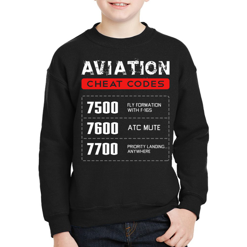 Aviation Cheat Codes Gift, Aviation Gift, Pilogift Pullover Hoodie Youth Sweatshirt by cm-arts | Artistshot