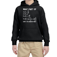 What Part Of Maxwell Equations Don't You Understand Long Sleeve T Shir Youth Hoodie | Artistshot