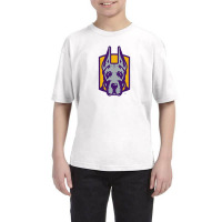 Albany Great Danes Youth Tee | Artistshot