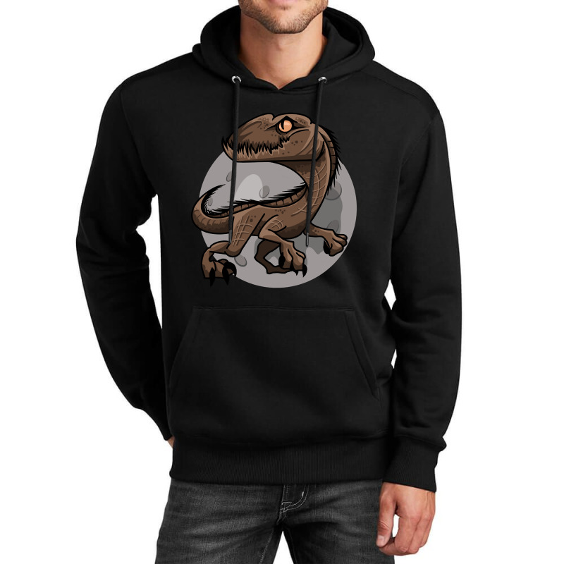 Dinosaurs On The Moon, Dinosaurs In The Moon Desert, Dinosaurs Desert, Unisex Hoodie | Artistshot