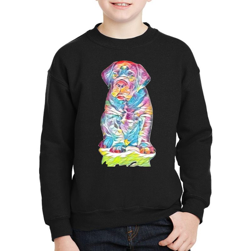 Labrador Retriever Youth Sweatshirt by Kemnabi | Artistshot