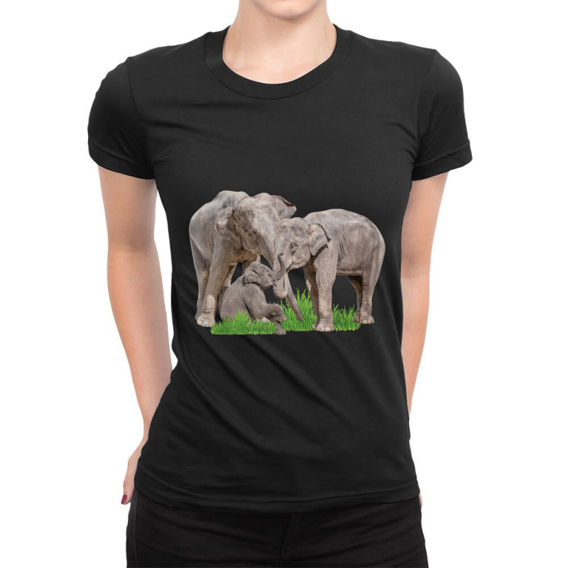 Elephant Family Zookeeper Zoologist Wildlife Safari Lover Ladies Fitted T-Shirt by Koyanho62 | Artistshot