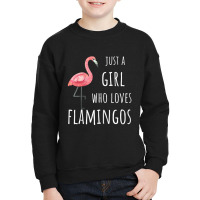 Funny Just A Girl Who Loves Flamingos Youth Sweatshirt | Artistshot