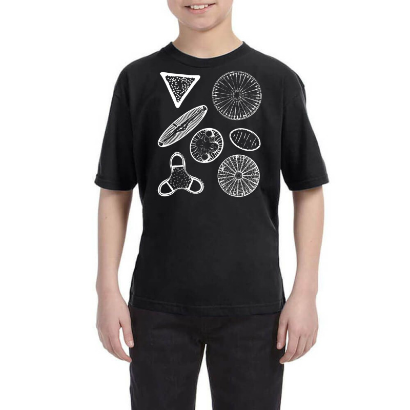 Diatoms Beautiful Science Youth Tee | Artistshot