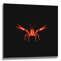 Crustaceancore For Ocean And Animal Lovers Sea Life Metal Print Square | Artistshot