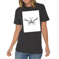 Crustaceancore For Ocean And Animal Lovers Sea Life Graphic Vintage T-shirt | Artistshot