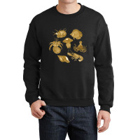 Golden Crustaceancore Crewneck Sweatshirt | Artistshot