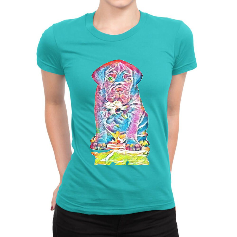 Boxer Ladies Fitted T-Shirt by Kemnabi | Artistshot