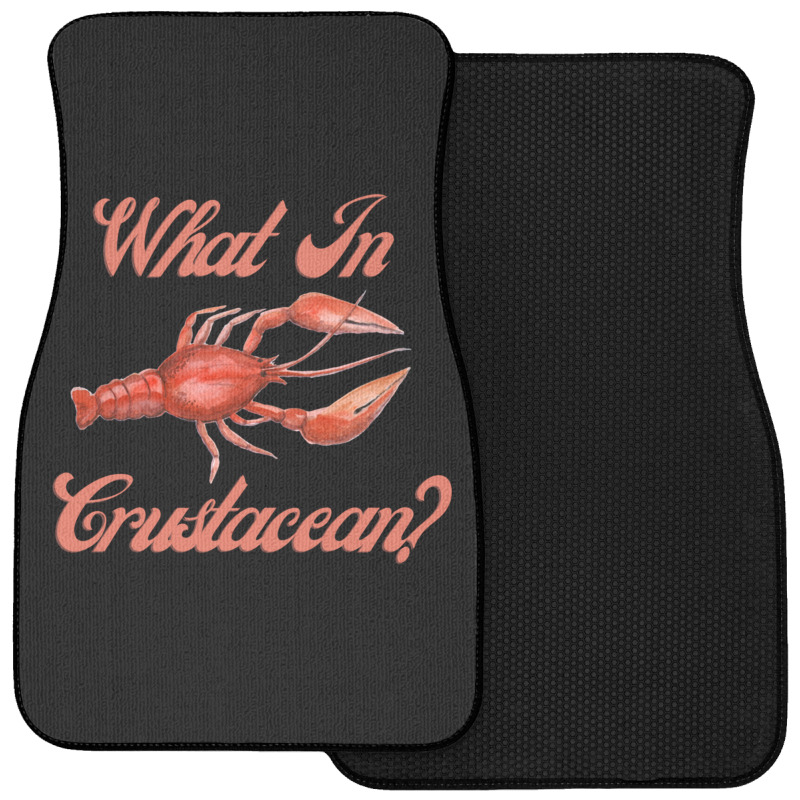 What In Crustacean  Cute Crustaceancore Front Car Mat | Artistshot