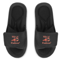 What In Crustacean  Cute Crustaceancore Slide Sandal | Artistshot