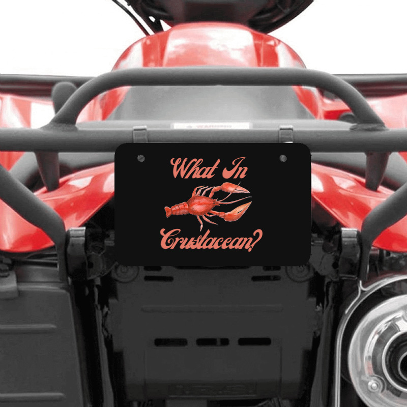 What In Crustacean  Cute Crustaceancore Atv License Plate | Artistshot