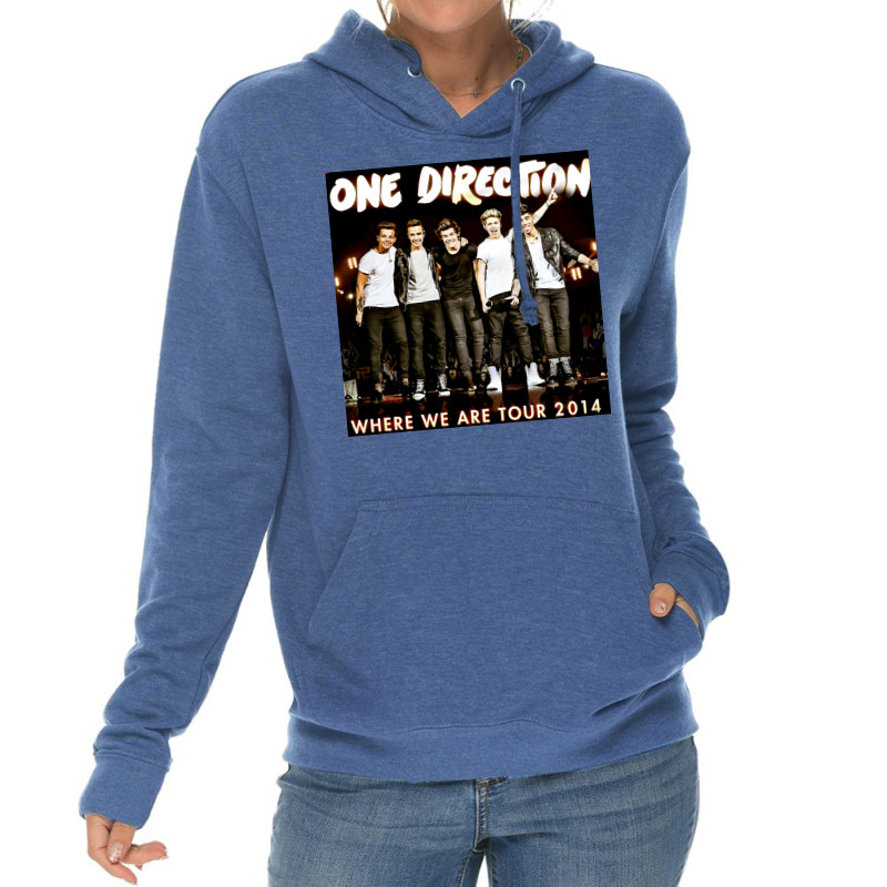 One Direction (2) Lightweight Hoodie | Artistshot