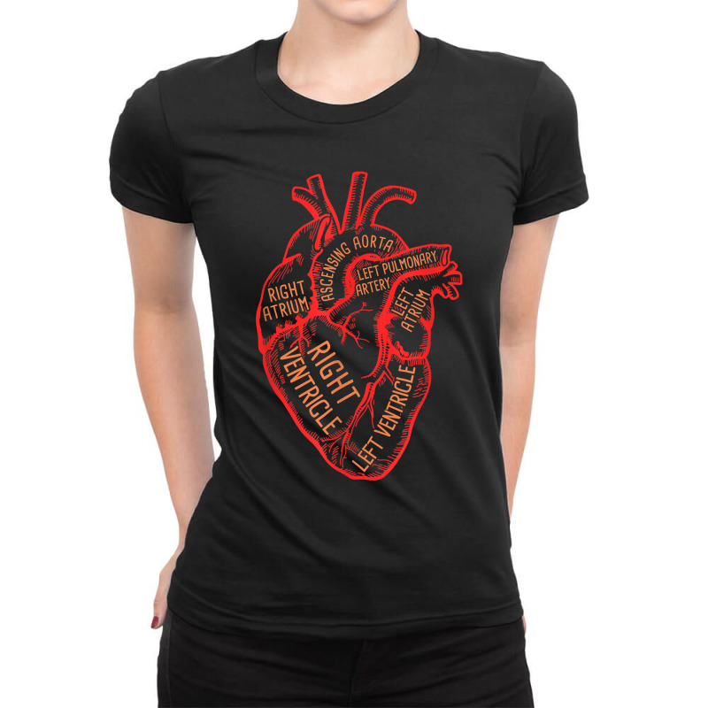 Anatomical Heart Medical Hospital Personal Cardiologist Ladies Fitted T-Shirt by JuniorFrye | Artistshot