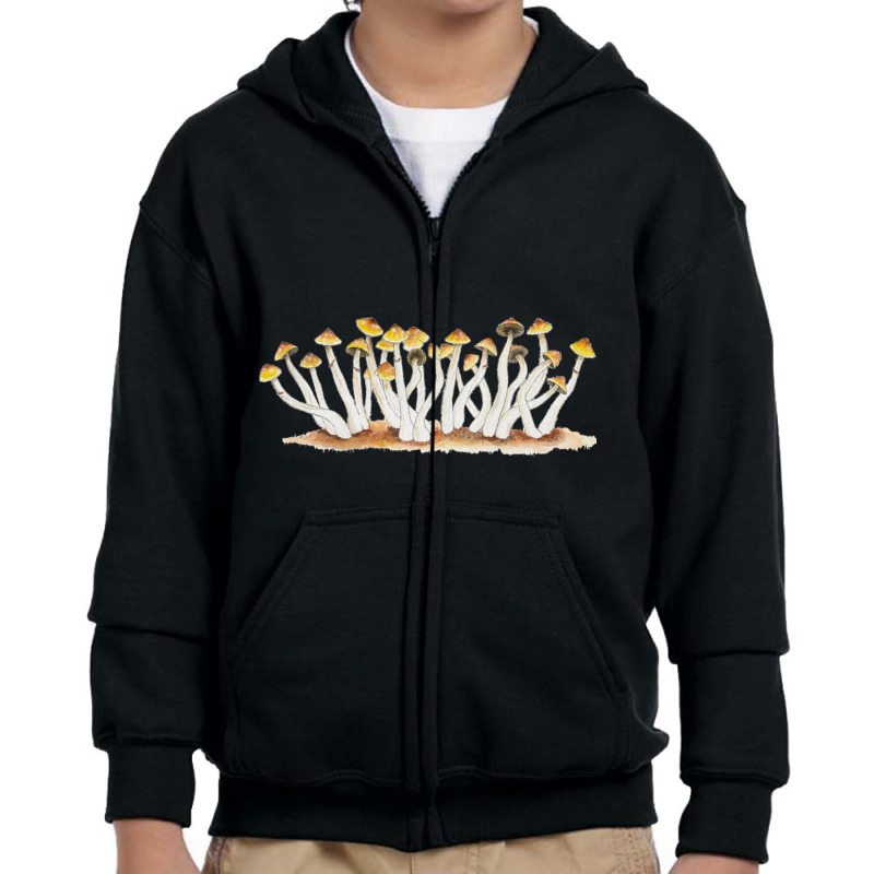 Psilocybe Cubensis Magic Mushrooms Mycology Shrooms Fungi Pullover Hoo Youth Zipper Hoodie by cm-arts | Artistshot