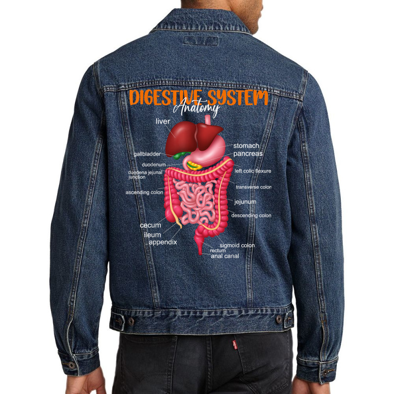 Funny Digestive System Anatomy Anatomical Biology Teacher T Shirt Men Denim Jacket by lazhehurezhu | Artistshot