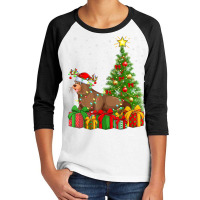 Sea Lion Lover Xmas Holiday Santa Sea Lion Christmas Tree T Shirt Youth 3/4 Sleeve | Artistshot