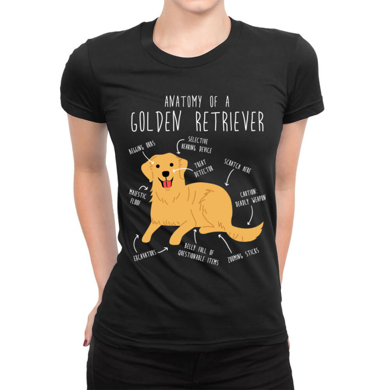 Golden Retriever Anatomy-5gjqg Ladies Fitted T-Shirt by Kalsurin563 | Artistshot