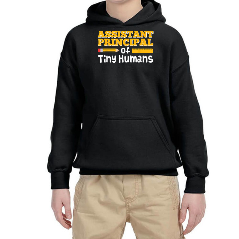 Assistant Principal Of Tiny Humans Funny Vice Principal Gift T Shirt Youth Hoodie by goveteman | Artistshot