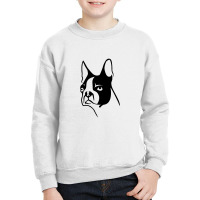 Boston Terrier Youth Sweatshirt | Artistshot