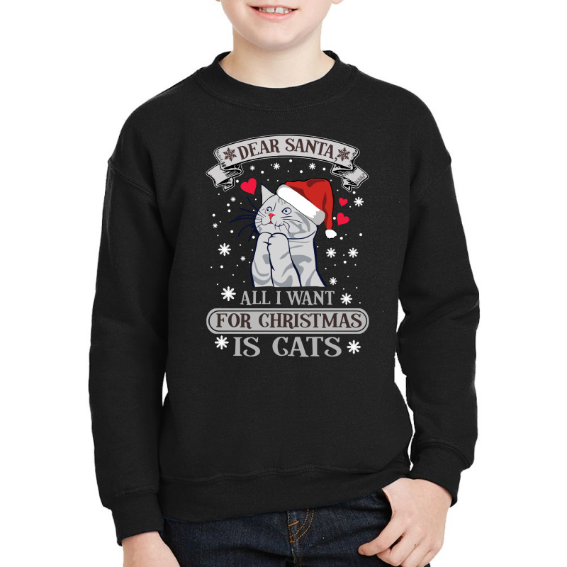 All I Want For Christmas Is Cats Youth Sweatshirt | Artistshot