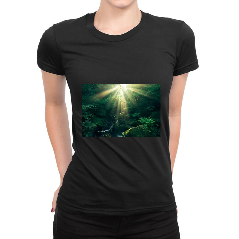 Divine Art Ladies Fitted T-Shirt by cm-arts | Artistshot