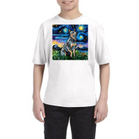 Blue Heeler Starry Night Australian Cattle Dog Art By Aja Youth Tee | Artistshot