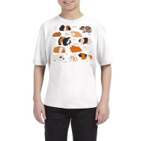 Guinea Pig Breeds   Costume Clothing Accessories Youth Tee | Artistshot