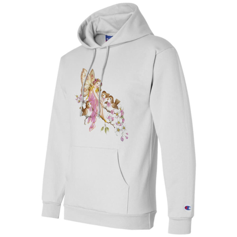 Fairy Champion Hoodie | Artistshot