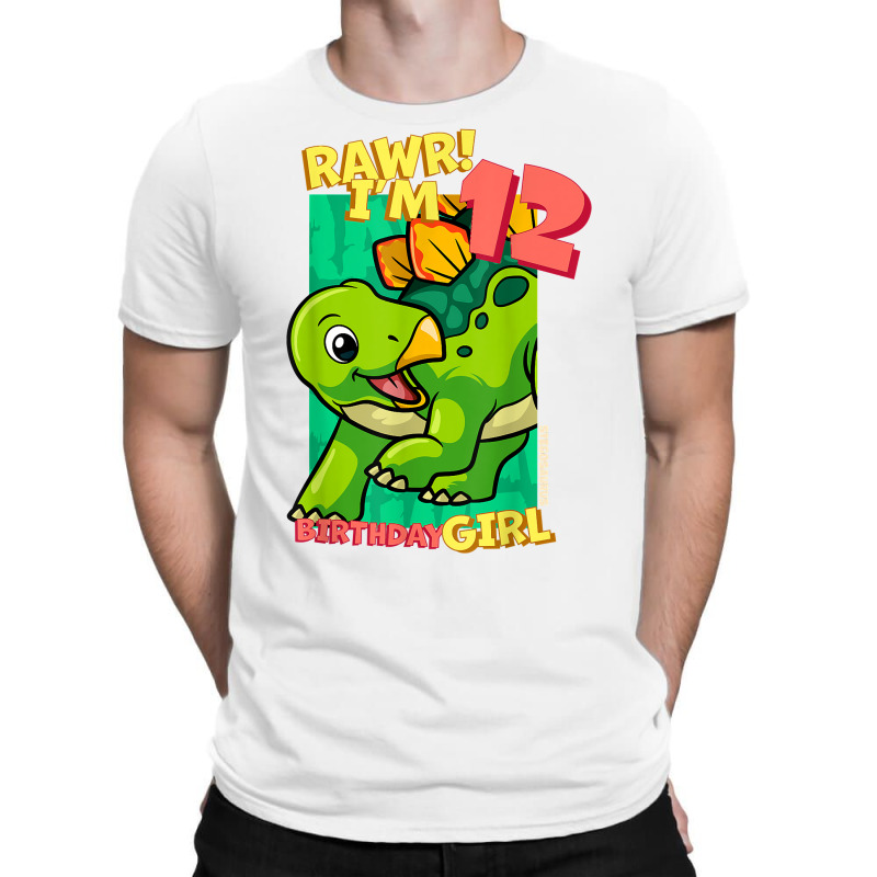 Rawr! I'm 12 Birthday Girls 12th Birthday Dino Stegosaurus T Shirt T-shirt | Artistshot