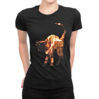 This Cat Is On Fire Ladies Fitted T-shirt | Artistshot