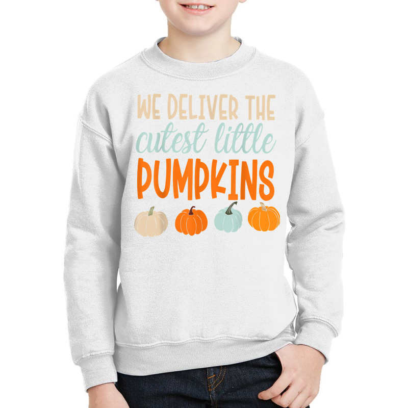 We Deliver The Cutest Little Pumpkins Labor And Delivery T Shirt Youth Sweatshirt by cm-arts | Artistshot