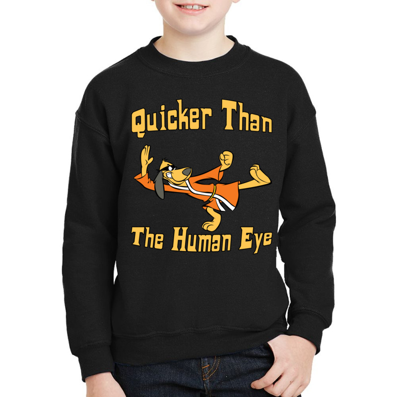 Art Quicker Than The Human Eye Hong Kong Phooey Located In The Dumpste Youth Sweatshirt by cm-arts | Artistshot