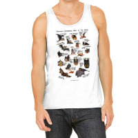 Critically Endangered Bats Of The World For Boyfriend Tank Top | Artistshot