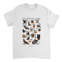 Critically Endangered Bats Of The World For Boyfriend Classic T-shirt | Artistshot