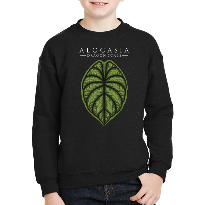 Alocasia Dragon Scale Aroid Plant Lover Anthurium Philodendron Youth Sweatshirt by dovieavila | Artistshot