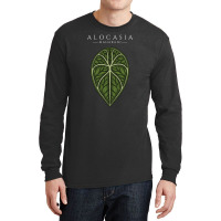 Alocasia Maharani Aroid Plant Lover Anthurium Philodendron Monstera Long Sleeve Shirts | Artistshot